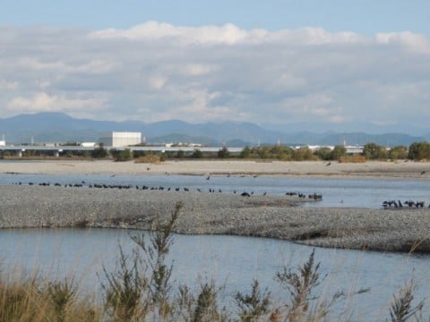 汽水域